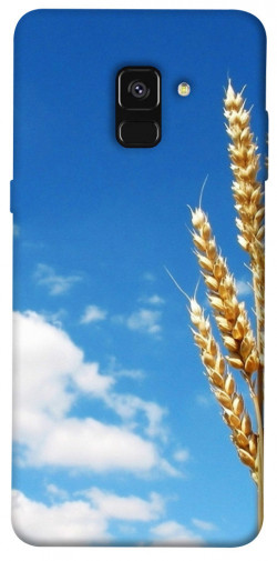 Чохол itsPrint Пшениця для Samsung A530 Galaxy A8 (2018)
