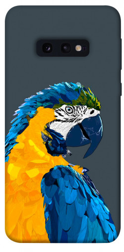 Чехол itsPrint Попугай для Samsung Galaxy S10e