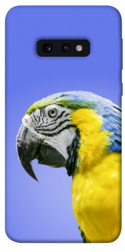 Чехол itsPrint Попугай ара для Samsung Galaxy S10e