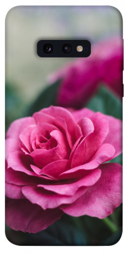 Чехол itsPrint Роза в саду для Samsung Galaxy S10e