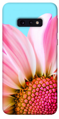 Чехол itsPrint Цветочные лепестки для Samsung Galaxy S10e