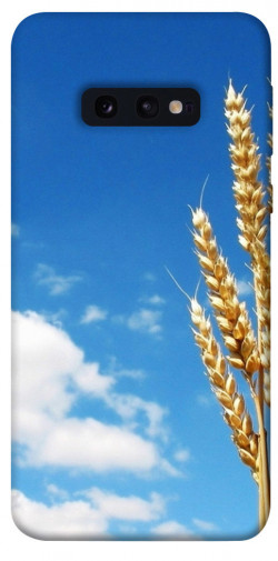 Чехол itsPrint Пшеница для Samsung Galaxy S10e