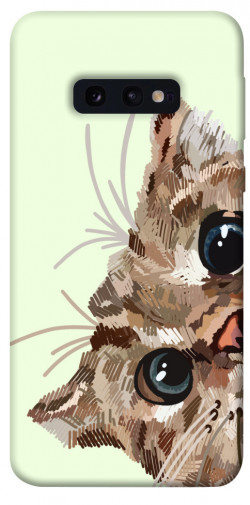 Чохол itsPrint Cat muzzle для Samsung Galaxy S10e