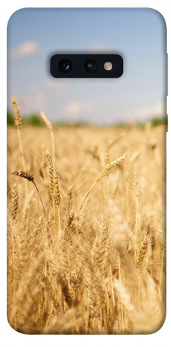 Чехол itsPrint Поле пшеницы для Samsung Galaxy S10e