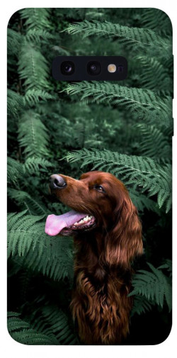 Чехол itsPrint Собака в зелени для Samsung Galaxy S10e