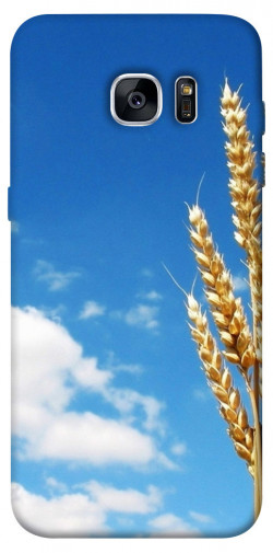 Чохол itsPrint Пшениця для Samsung G935F Galaxy S7 Edge
