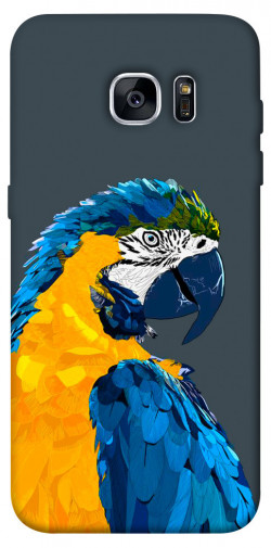 Чехол itsPrint Попугай для Samsung G935F Galaxy S7 Edge