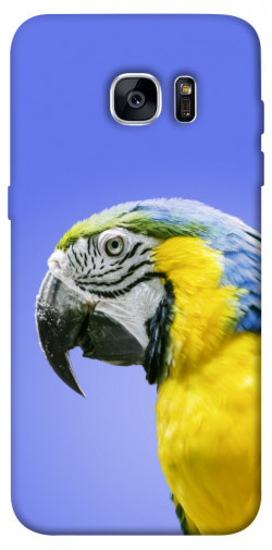 Чехол itsPrint Попугай ара для Samsung G935F Galaxy S7 Edge