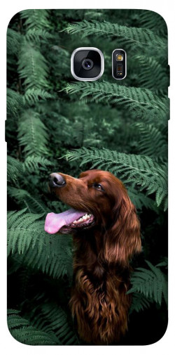 Чехол itsPrint Собака в зелени для Samsung G935F Galaxy S7 Edge