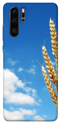 Чехол itsPrint Пшеница для Huawei P30 Pro