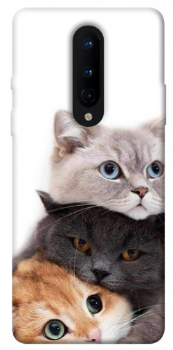 Чехол itsPrint Три кота для OnePlus 8