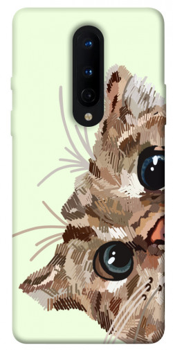 Чохол itsPrint Cat muzzle для OnePlus 8