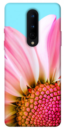 Чехол itsPrint Цветочные лепестки для OnePlus 8