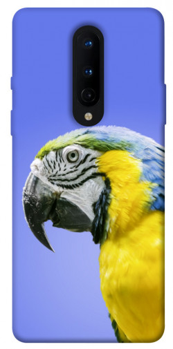 Чехол itsPrint Попугай ара для OnePlus 8