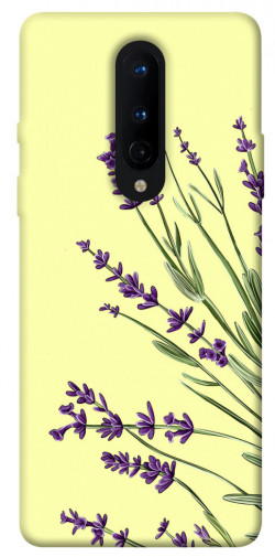 Чохол itsPrint Lavender art для OnePlus 8