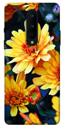 Чехол itsPrint Yellow petals для OnePlus 8