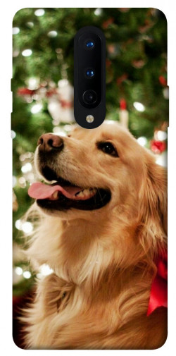 Чехол itsPrint New year dog для OnePlus 8