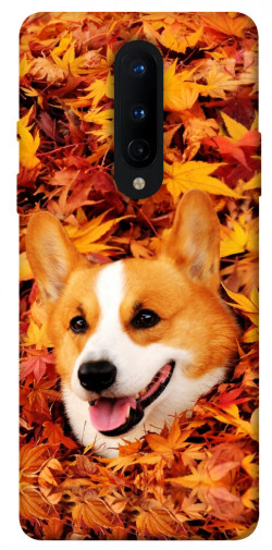 Чехол itsPrint Корги в листьях для OnePlus 8