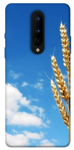 Чехол itsPrint Пшеница для OnePlus 8