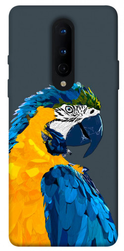 Чехол itsPrint Попугай для OnePlus 8
