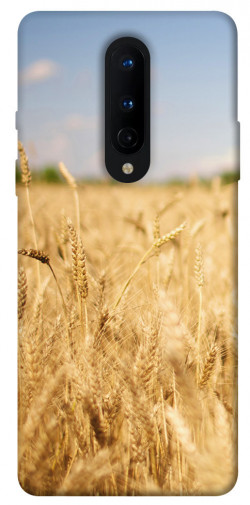 Чехол itsPrint Поле пшеницы для OnePlus 8