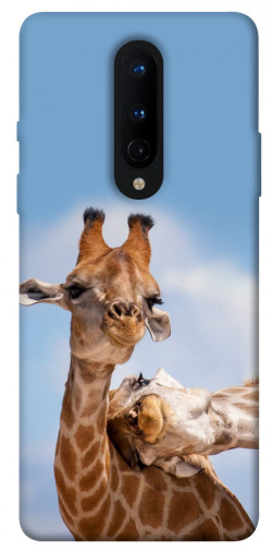 Чехол itsPrint Милые жирафы для OnePlus 8