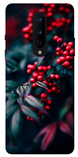 Чехол itsPrint Red berry для OnePlus 8