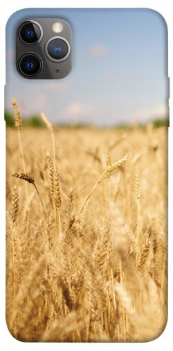 Чехол itsPrint Поле пшеницы для Apple iPhone 12 Pro Max (6.7")