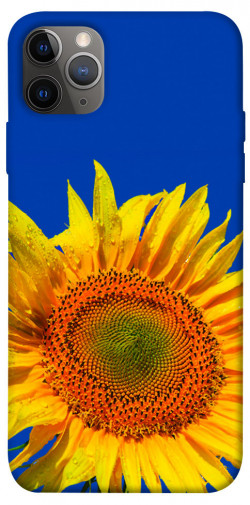 Чехол itsPrint Sunflower для Apple iPhone 12 Pro Max (6.7")