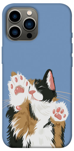 Чехол itsPrint Funny cat для Apple iPhone 12 Pro Max (6.7")