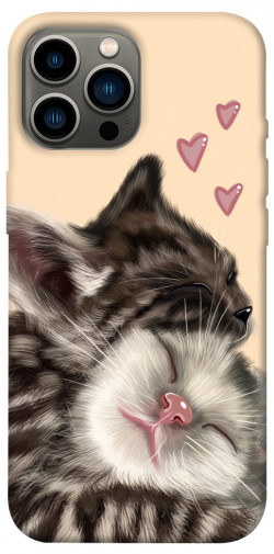 Чехол itsPrint Cats love для Apple iPhone 12 Pro Max (6.7")