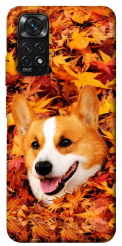 Чехол itsPrint Корги в листьях для Xiaomi Redmi Note 11 (Global) / Note 11S