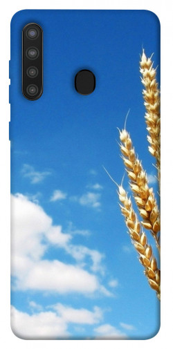 Чехол itsPrint Пшеница для Samsung Galaxy A21