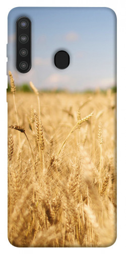 Чехол itsPrint Поле пшеницы для Samsung Galaxy A21