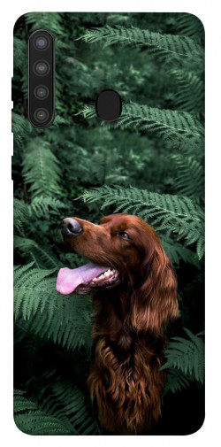 Чехол itsPrint Собака в зелени для Samsung Galaxy A21