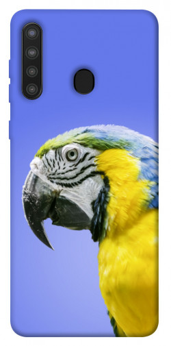 Чехол itsPrint Попугай ара для Samsung Galaxy A21
