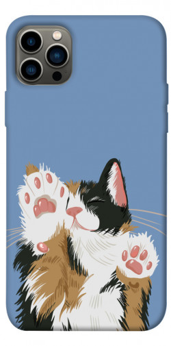 Чохол itsPrint Funny cat для Apple iPhone 12 Pro (6.1")