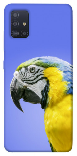 Чехол itsPrint Попугай ара для Samsung Galaxy M51