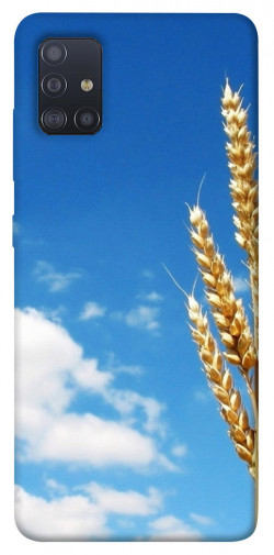 Чехол itsPrint Пшеница для Samsung Galaxy M51