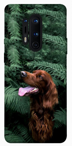 Чехол itsPrint Собака в зелени для OnePlus 8 Pro