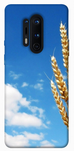 Чехол itsPrint Пшеница для OnePlus 8 Pro