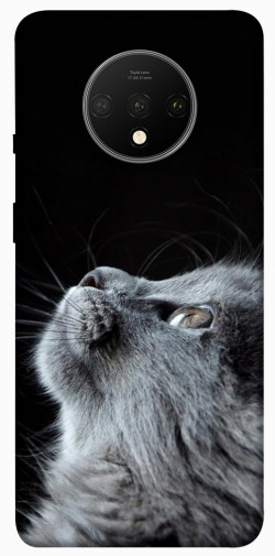 Чехол itsPrint Cute cat для OnePlus 7T