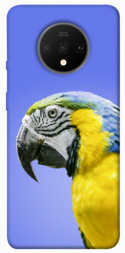 Чехол itsPrint Попугай ара для OnePlus 7T