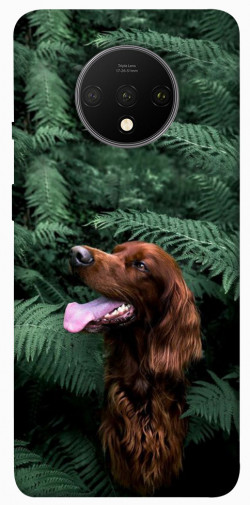 Чехол itsPrint Собака в зелени для OnePlus 7T