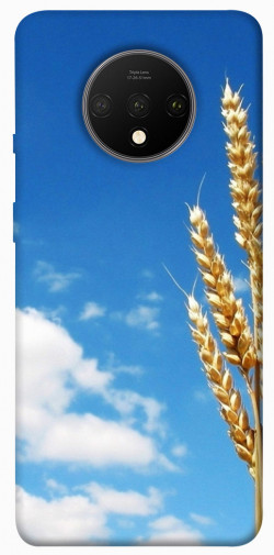 Чехол itsPrint Пшеница для OnePlus 7T