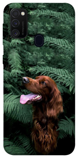 Чехол itsPrint Собака в зелени для Samsung Galaxy M30s / M21