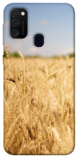 Чехол itsPrint Поле пшеницы для Samsung Galaxy M30s / M21