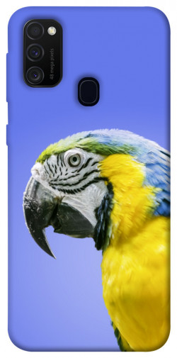 Чехол itsPrint Попугай ара для Samsung Galaxy M30s / M21