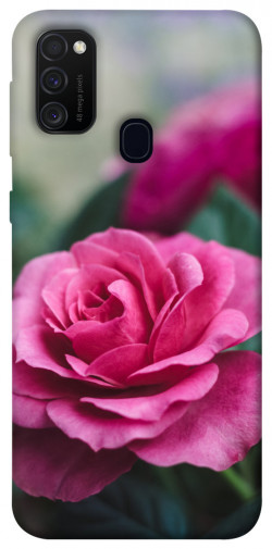 Чохол itsPrint Троянда у саду для Samsung Galaxy M30s / M21