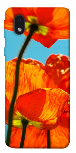 Чехол itsPrint Яркие маки для Samsung Galaxy M01 Core / A01 Core